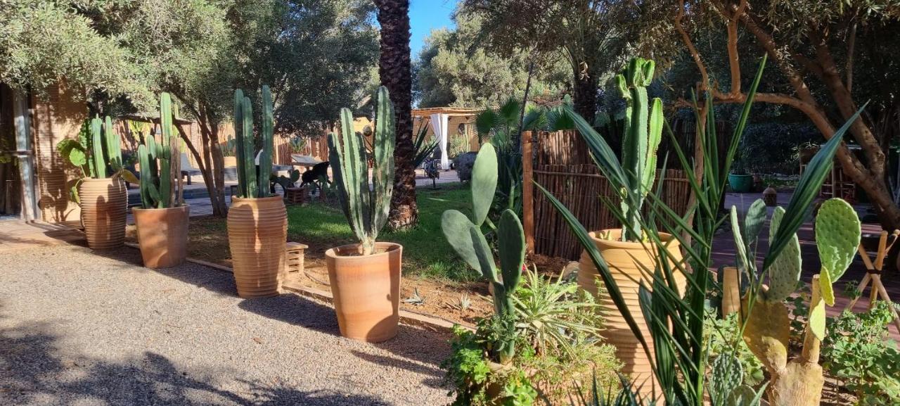Les Trois Paons Bed & Breakfast Taroudant Exterior photo