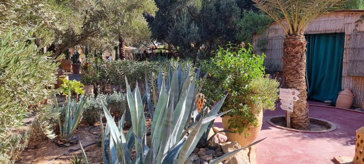 Les Trois Paons Bed & Breakfast Taroudant Exterior photo